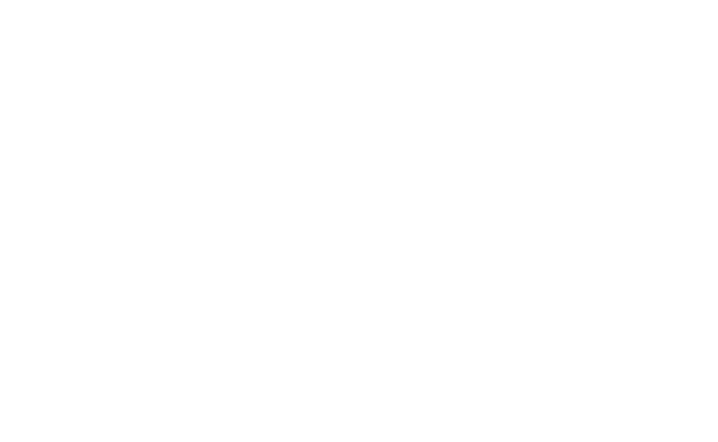 Sarah Sepahi logo